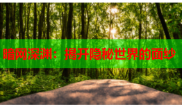 暗网深渊:揭开隐秘世界的面纱
