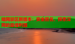 暗网禁区新版本:安全匿名,探索深网的最佳利器