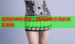 暗网的神秘面纱:揭开隐秘交易的真实面貌
