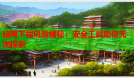 暗网下载风险揭秘:安全工具助你无忧探索