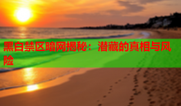 黑白禁区暗网揭秘:潜藏的真相与风险