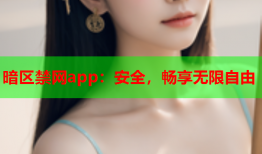 暗区禁网app:安全,畅享无限自由