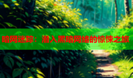 暗网迷踪:潜入黑暗网络的惊悚之旅