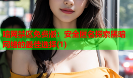 暗网禁区免费版:安全匿名探索黑暗网络的最佳选择(1)