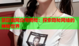 禁区暗网应用揭秘:探索隐秘网络的神秘世界