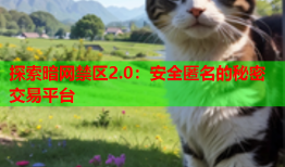 探索暗网禁区2.0:安全匿名的秘密交易平台