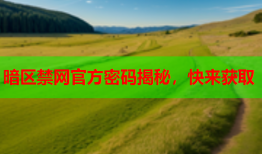 暗区禁网官方密码揭秘,快来获取