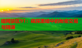 暗网禁区91:窥探黑暗中的秘密交易与阴谋