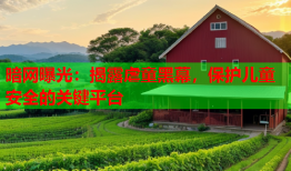 暗网曝光:揭露虐童黑幕,保护儿童安全的关键平台