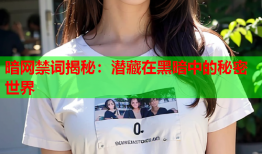 暗网禁词揭秘:潜藏在黑暗中的秘密世界