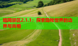 暗网禁区2.1.1:探索隐秘世界的边界与真相