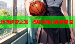 暗网探索之旅:揭秘隐藏的免费资源
