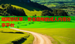 暗网禁区草:安全隐秘的成人内容分享平台