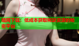 暗网下载:低成本获取稀缺资源的秘密平台