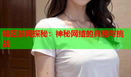 暗区禁网探秘:神秘网络的真相与挑战