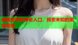 暗网世界的神秘入口,探索未知的黑暗网络