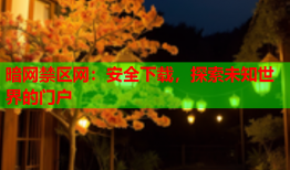 暗网禁区网:安全下载,探索未知世界的门户