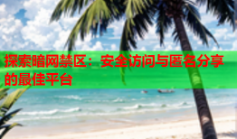 探索暗网禁区:安全访问与匿名分享的最佳平台