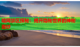 暗网禁区探秘:揭开隐秘世界的神秘面纱