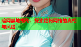 暗网禁地揭秘:探索隐秘网络的真相与风险