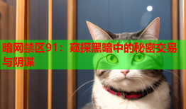 暗网禁区91:窥探黑暗中的秘密交易与阴谋