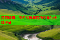 探索暗网:匿名交流与隐秘交易的绝佳平台