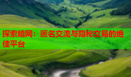 探索暗网:匿名交流与隐秘交易的绝佳平台