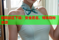 暗网禁区下载:安全匿名,畅享隐秘资源