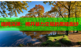 暗网深渊:揭开暴力交易的黑暗面纱