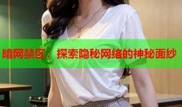暗网禁区:探索隐秘网络的神秘面纱