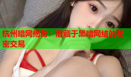杭州暗网揭秘:潜藏于黑暗网络的秘密交易