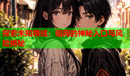 探索未知领域:暗网的神秘入口与风险揭秘
