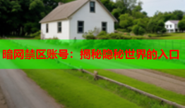 暗网禁区账号:揭秘隐秘世界的入口