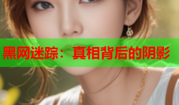 黑网迷踪:真相背后的阴影