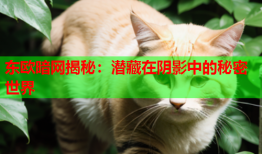 东欧暗网揭秘:潜藏在阴影中的秘密世界