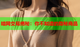 暗网交易揭秘:你不知道的隐秘商品