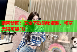 暗网禁区:安全下载隐秘资源,畅享无限可能(1)
