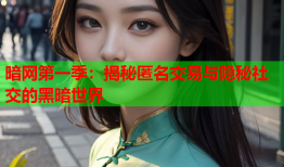 暗网第一季:揭秘匿名交易与隐秘社交的黑暗世界