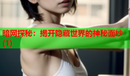 暗网探秘:揭开隐藏世界的神秘面纱(1)