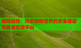 暗网禁地:探索隐秘世界的安全通道与匿名交流平台