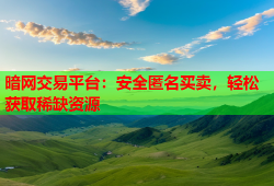 暗网交易平台:安全匿名买卖,轻松获取稀缺资源