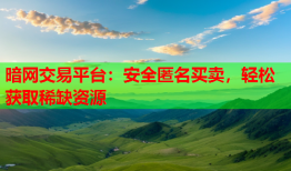 暗网交易平台:安全匿名买卖,轻松获取稀缺资源