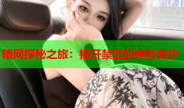 暗网探秘之旅:揭开禁区的神秘面纱