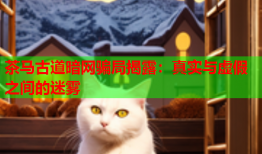 茶马古道暗网骗局揭露:真实与虚假之间的迷雾