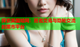 探索美国暗网:匿名交易与隐秘交流的黑市平台