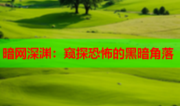 暗网深渊:窥探恐怖的黑暗角落