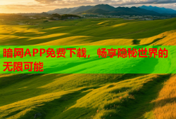 暗网APP免费下载,畅享隐秘世界的无限可能