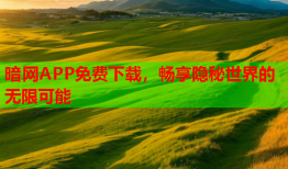 暗网APP免费下载,畅享隐秘世界的无限可能