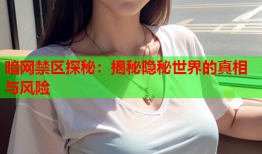 暗网禁区探秘:揭秘隐秘世界的真相与风险