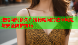 进暗网判多久?揭秘暗网的法律风险与安全防护技巧